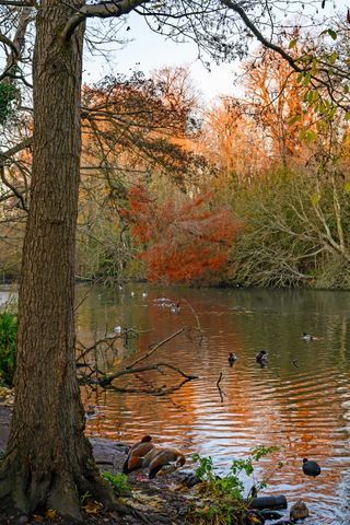 Beckenham Place Park