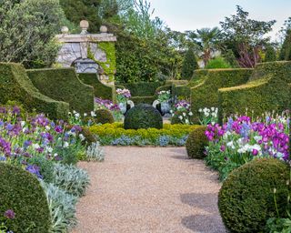 tulips beds and clipped topiary hedges at arundel castle gardens in spring