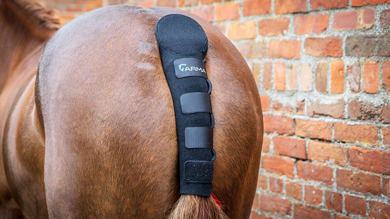 Shires Arma tail guard with detachable tail bag review
