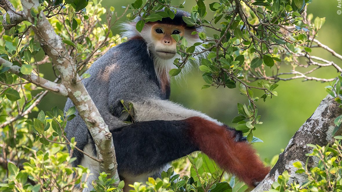 Wildlife Photographer of the Year