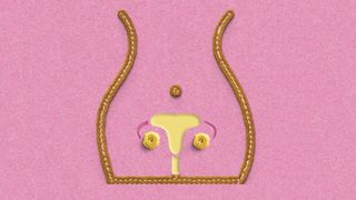 concept of uterus