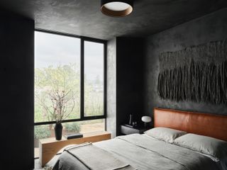 bed room with dark walls and vineyard outside