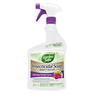 Garden Safe 32 Oz. Insecticidal Soap Ready-To-Use, 1 Count (pack of 1)