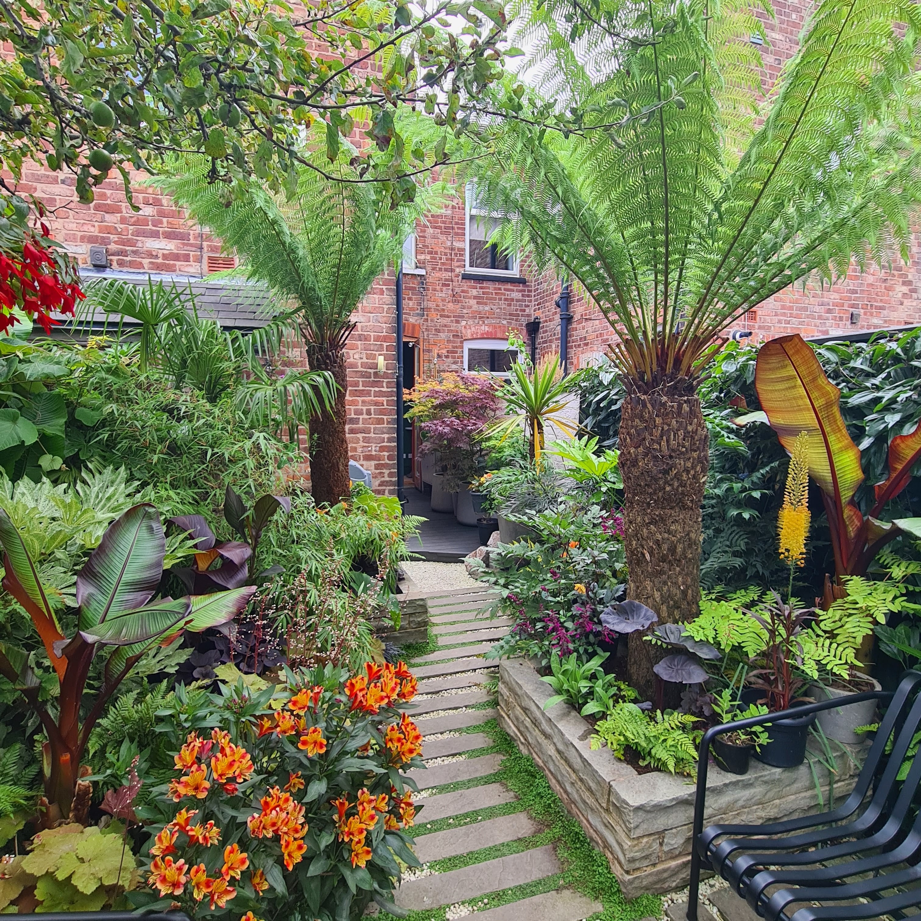 A colorful back garden with tropical style trees, vibrant flowers and foliage, and a black bench with a path running through the middle