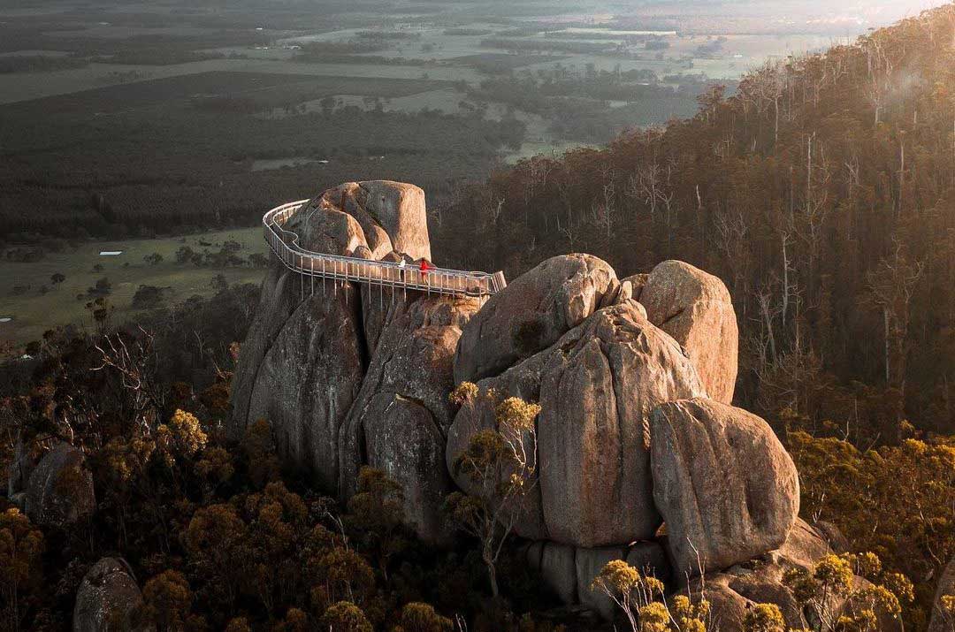 The Great Southern - Castle Rock Skywalk - ExploreParksWA / DBCA