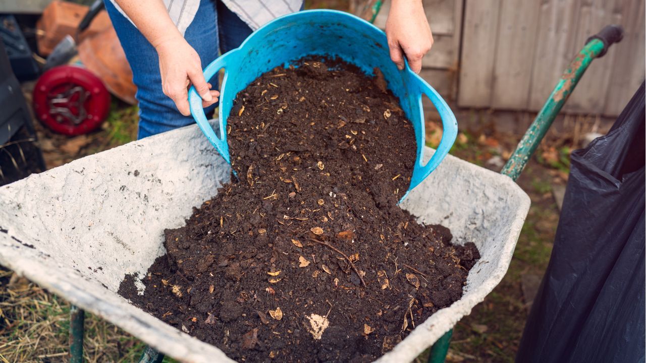 How to stop compost smelling bad: 5 expert methods | Homes & Gardens