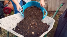 How to stop compost smelling bad