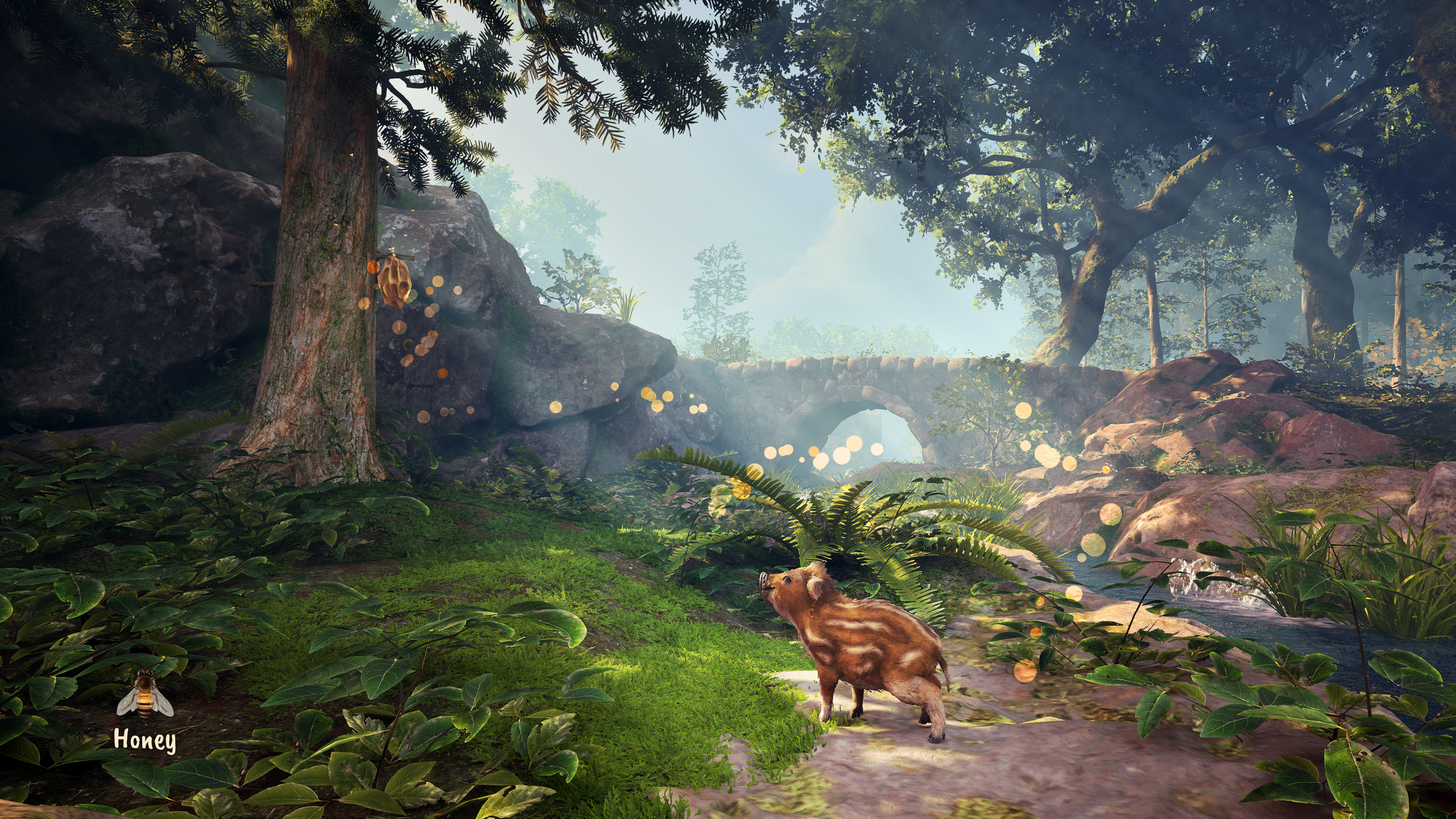 Catching the scent of some honey in Adorable Adventures