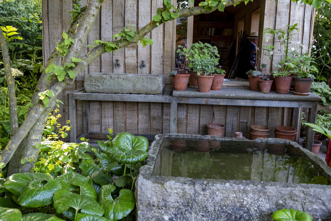 Stuart Medhurst Rhs The creation of Tom Stuart-Smith's showstopping garden at RHS Chelsea ...