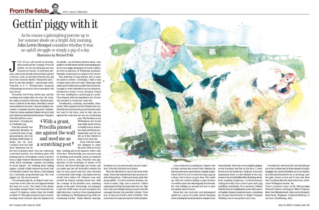 Country Life 23 July 2025 offers a celebration of greyhounds, steam power, pine martens and bedtime rituals.
