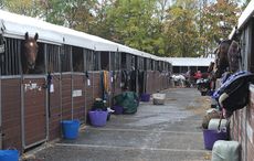 Temporary-stables-01_80919081_183545161.jpeg