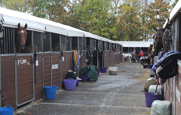 Temporary-stables-01_80919081_183545161.jpeg