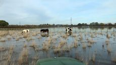 Bransbyfloods3.jpeg