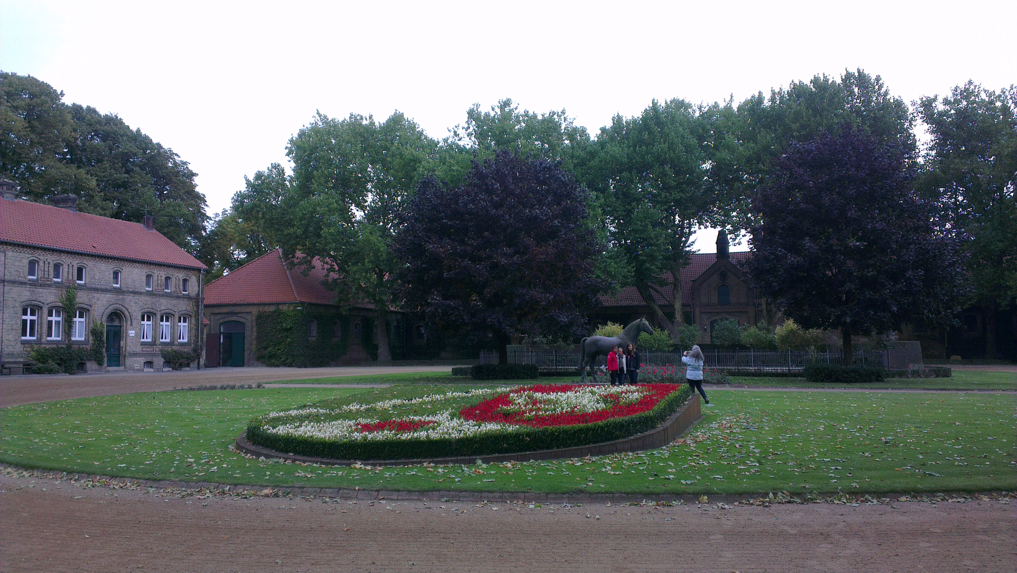 image1.jpg