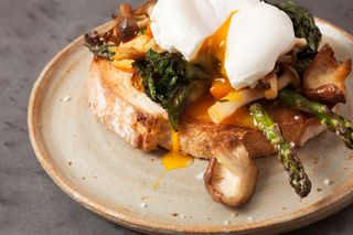 Everything you need to know about the humble egg