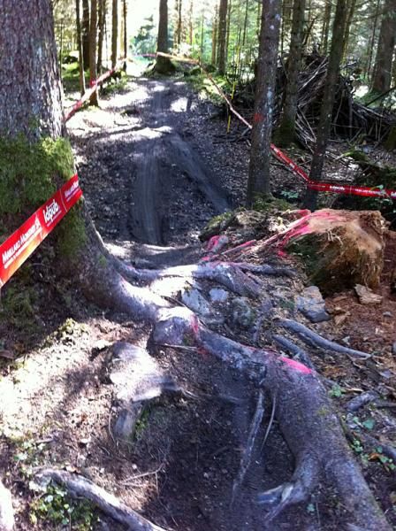 A rooty section. The UCI marks the roots with spray paint though on a course like this, it's hard to mark them all.