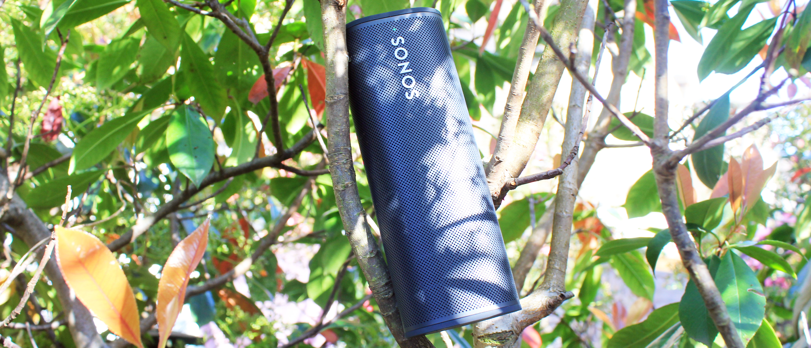 Sonos Roam Review: Portable Tunes for the Outdoors, Alexa for the