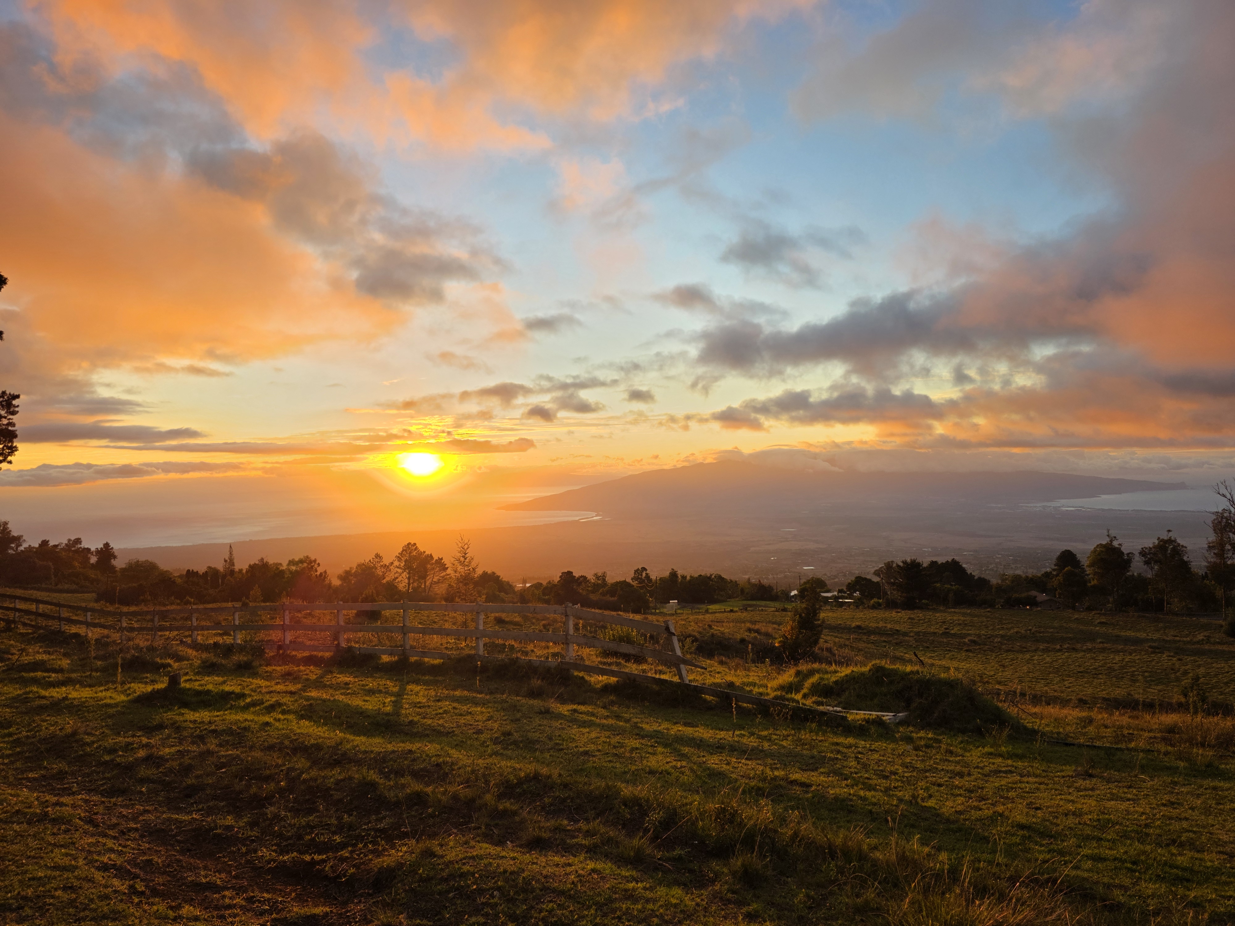 Sample images taken with the Samsung Galaxy S25 Ultra cameras