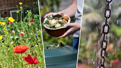 composite of uk wildflowers, woman composting food scraps and a rain chain collecting water