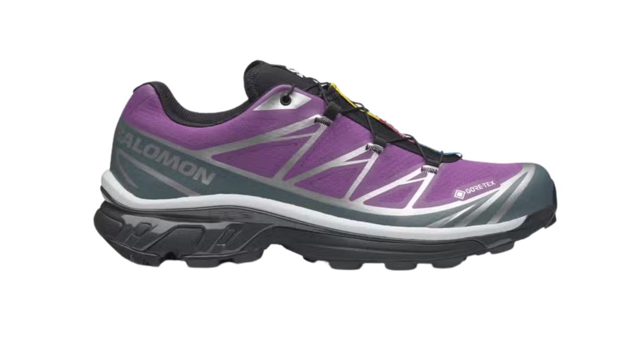 Salomon hiking shoes
