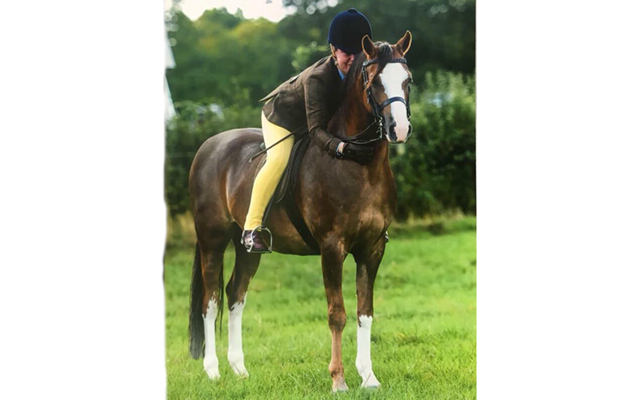 Percy2