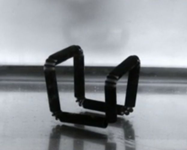 4D printing created this cube, which self-assembled once submerged in water.