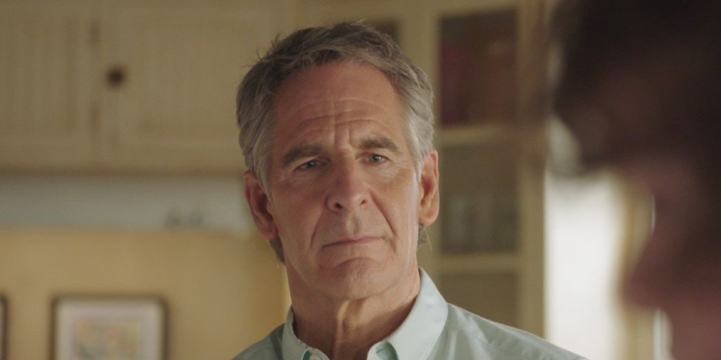 Why NCIS New Orleans' Series Finale Ended Things That Way For Pride