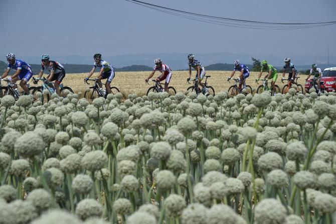 Stage 15 passes through Provence