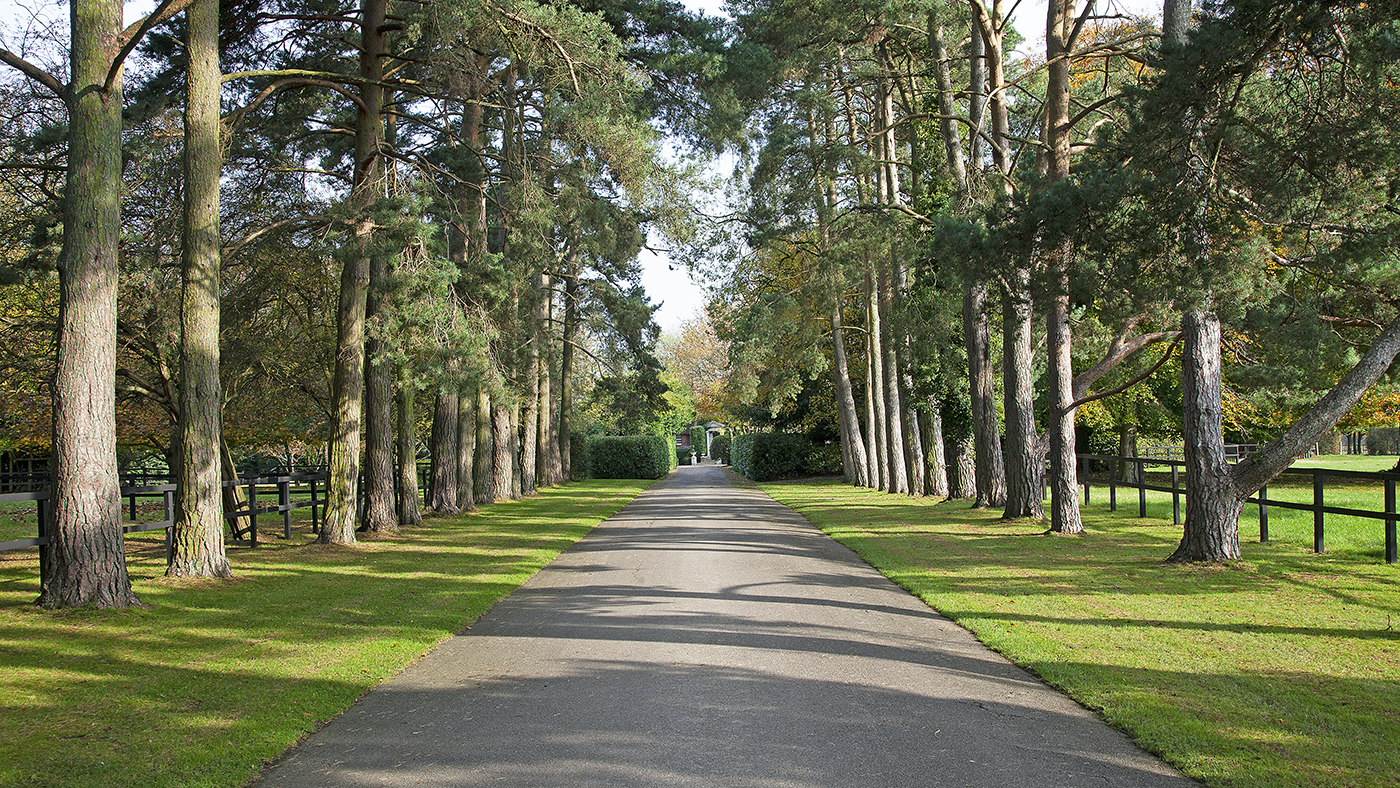 Holmer Ridings, Savills 5