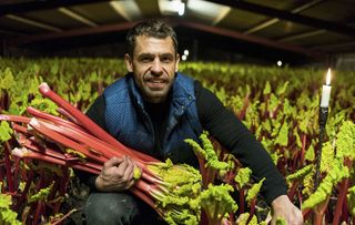 Kelvin visits the famous Rhubarb Triangle, Yorkshire to discover the process of growing rhubarb