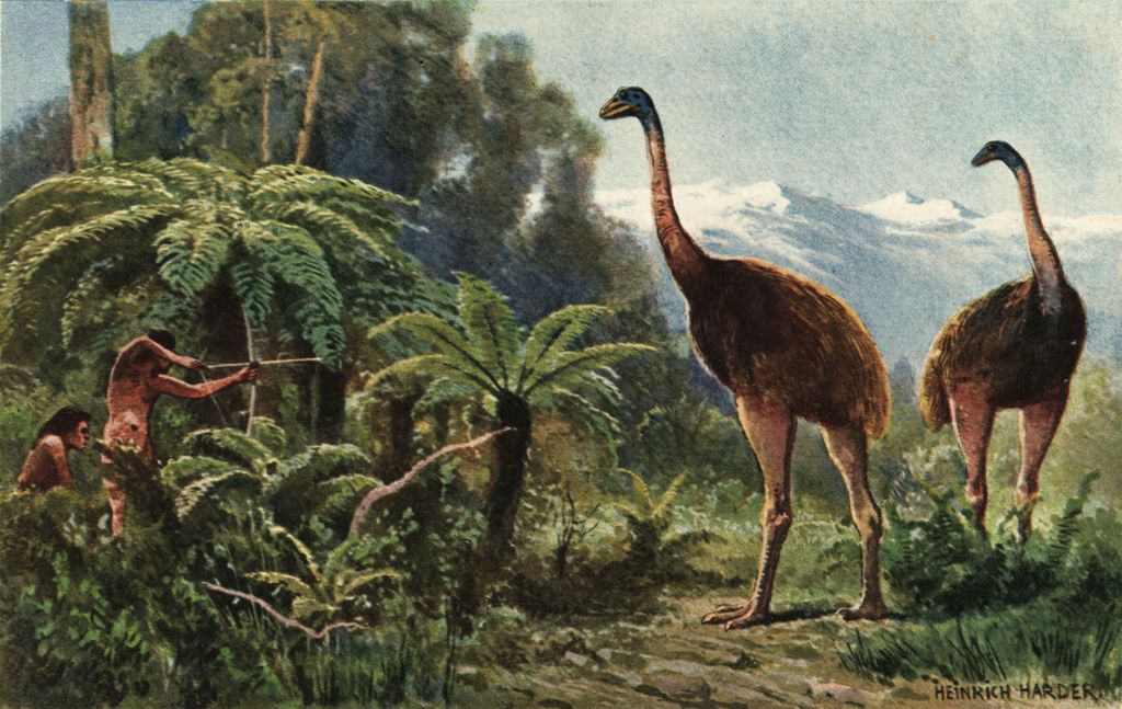 Why giant moa — a bird that once towered over humans — are even harder