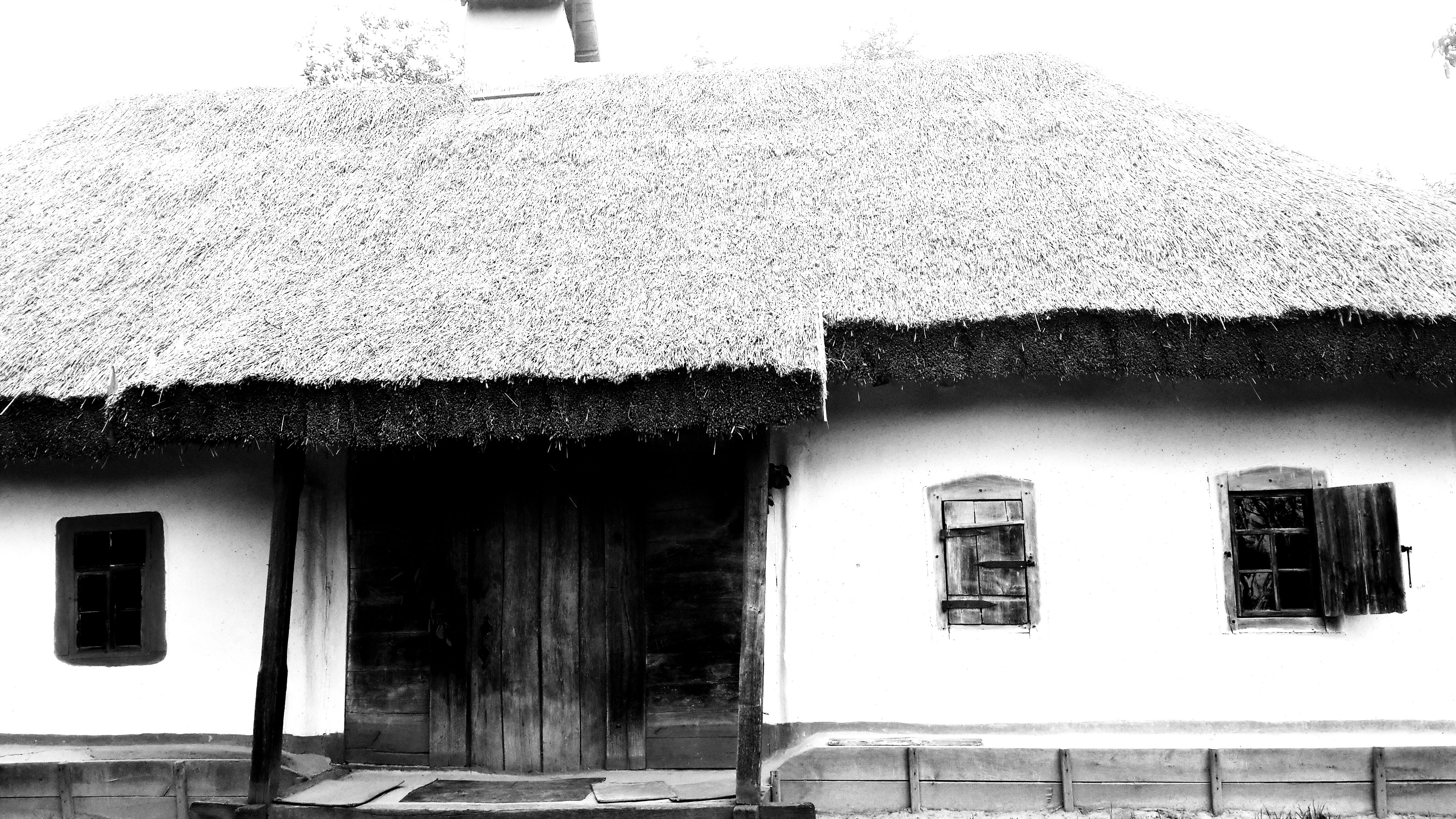 GuruShots - February 2026