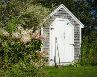 Shed with shingles and white door