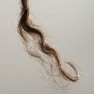 Tuft of Aboriginal hair, Aboriginal Australian genome hints at how humans dispersed