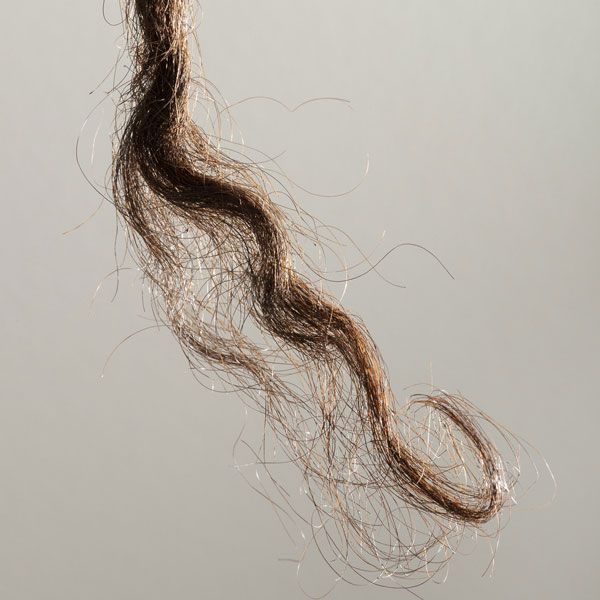 Tuft of Aboriginal hair, Aboriginal Australian genome hints at how humans dispersed