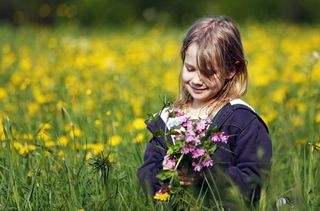 Little girl sitting in a meadow full of flowers