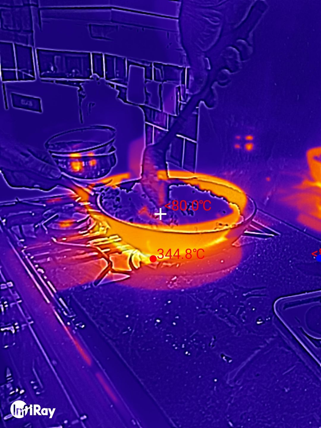DOOGEE S98 Pro review: Thermal Imaging