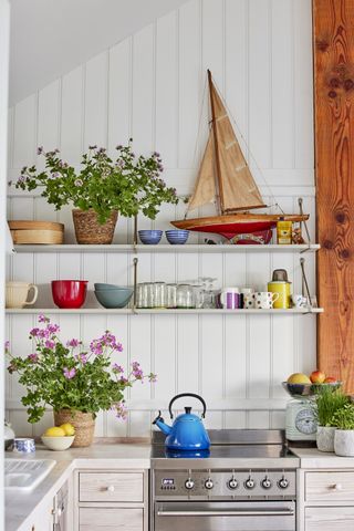 A small kitchen with wood panelled walls and shelving with geraniums in pots