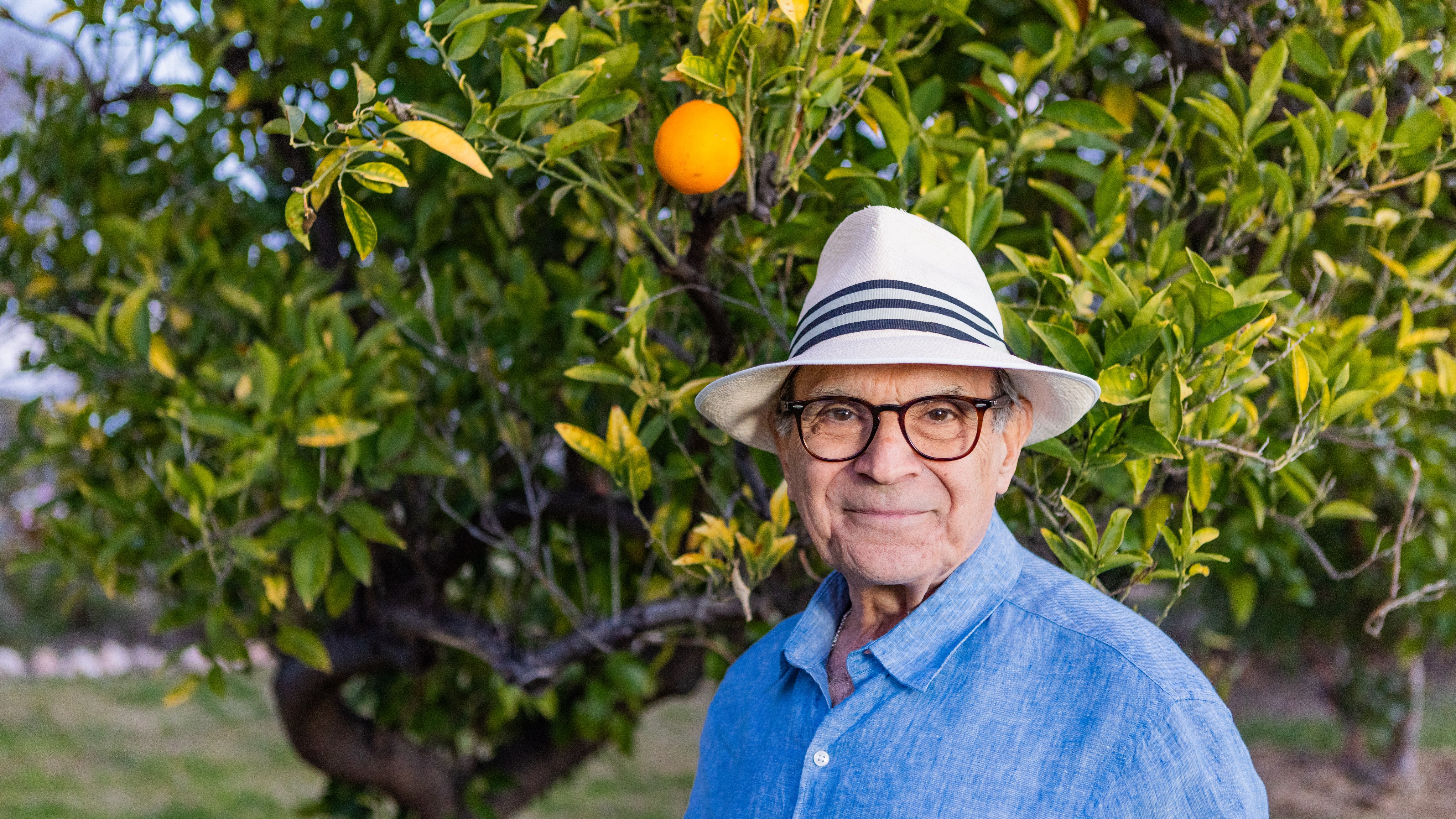 Sir David Suchet in an orange grove in Australia in Travels with Agatha Christie and Sir David Suchet.