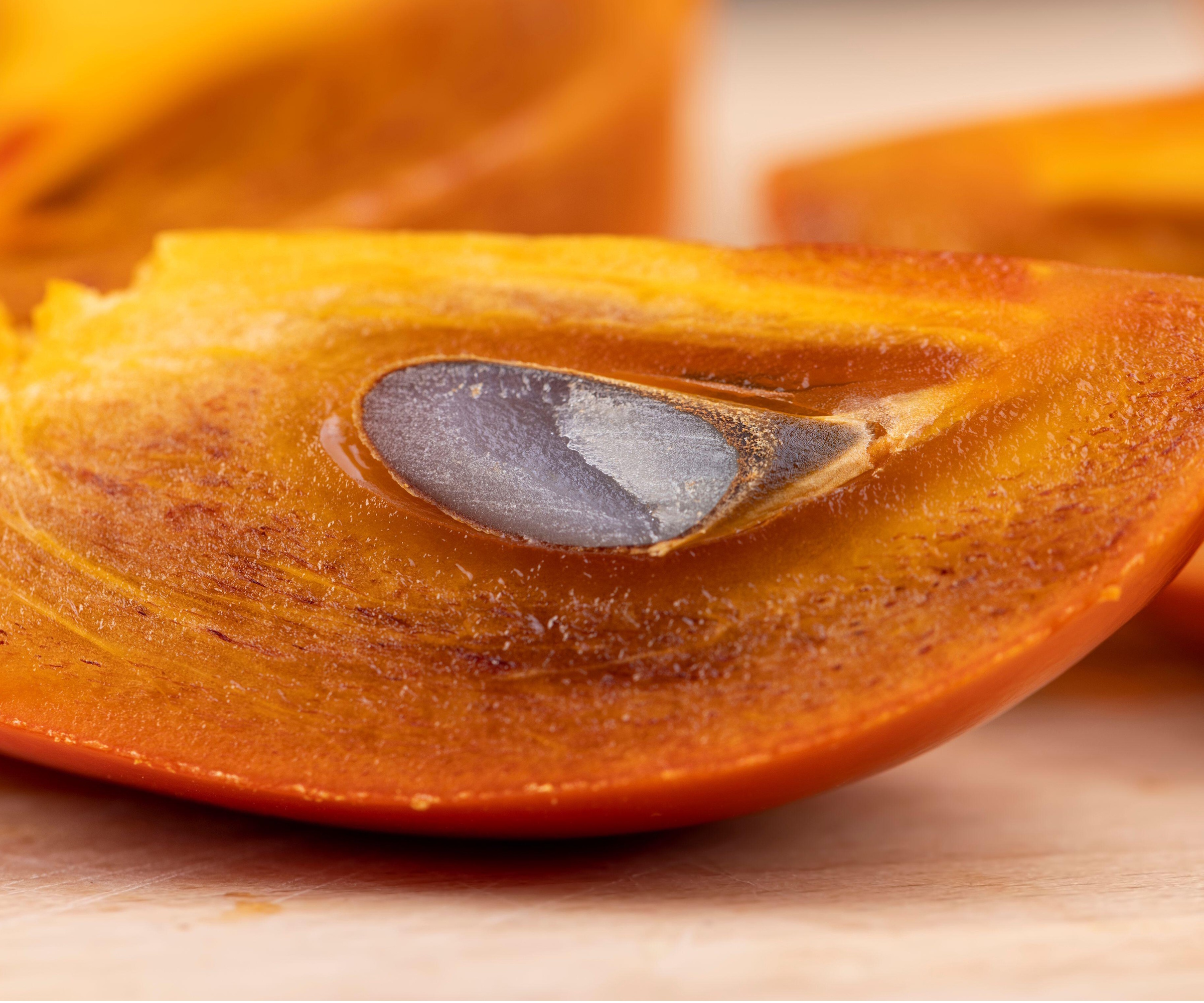 Persimmon seed