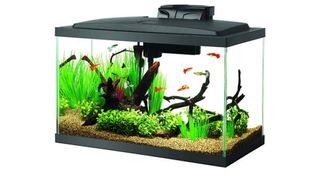 Aqueon LED small fish tank