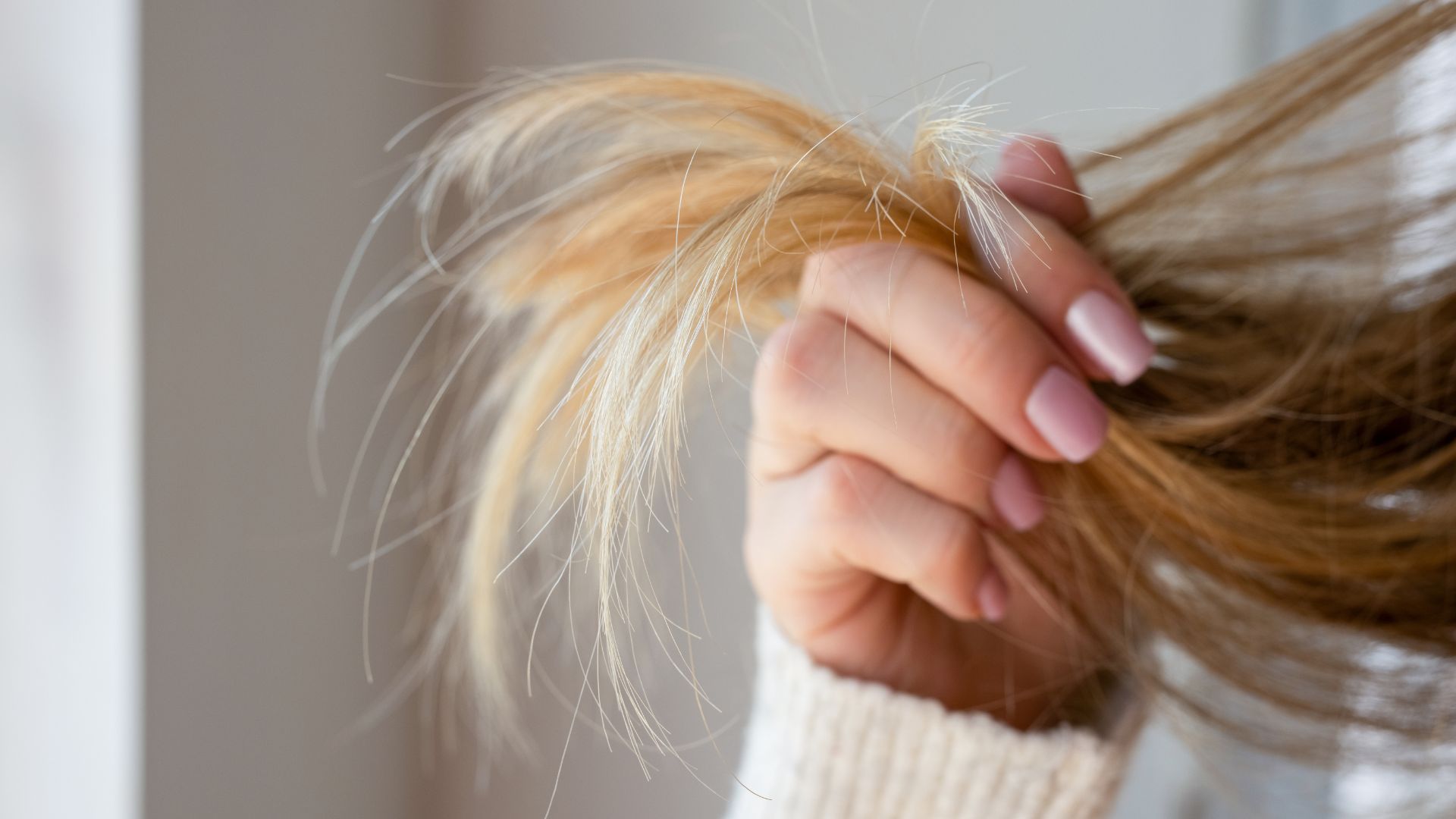 A woman's hand holding the ends of her blonde hair , with pink nails and a cream jumper