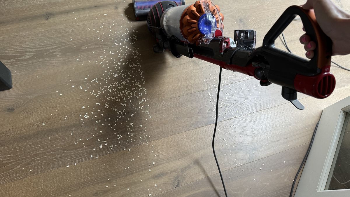 Dyson Ball Animal 3