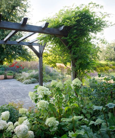 garden terrace with pergola and planted hydrangeas