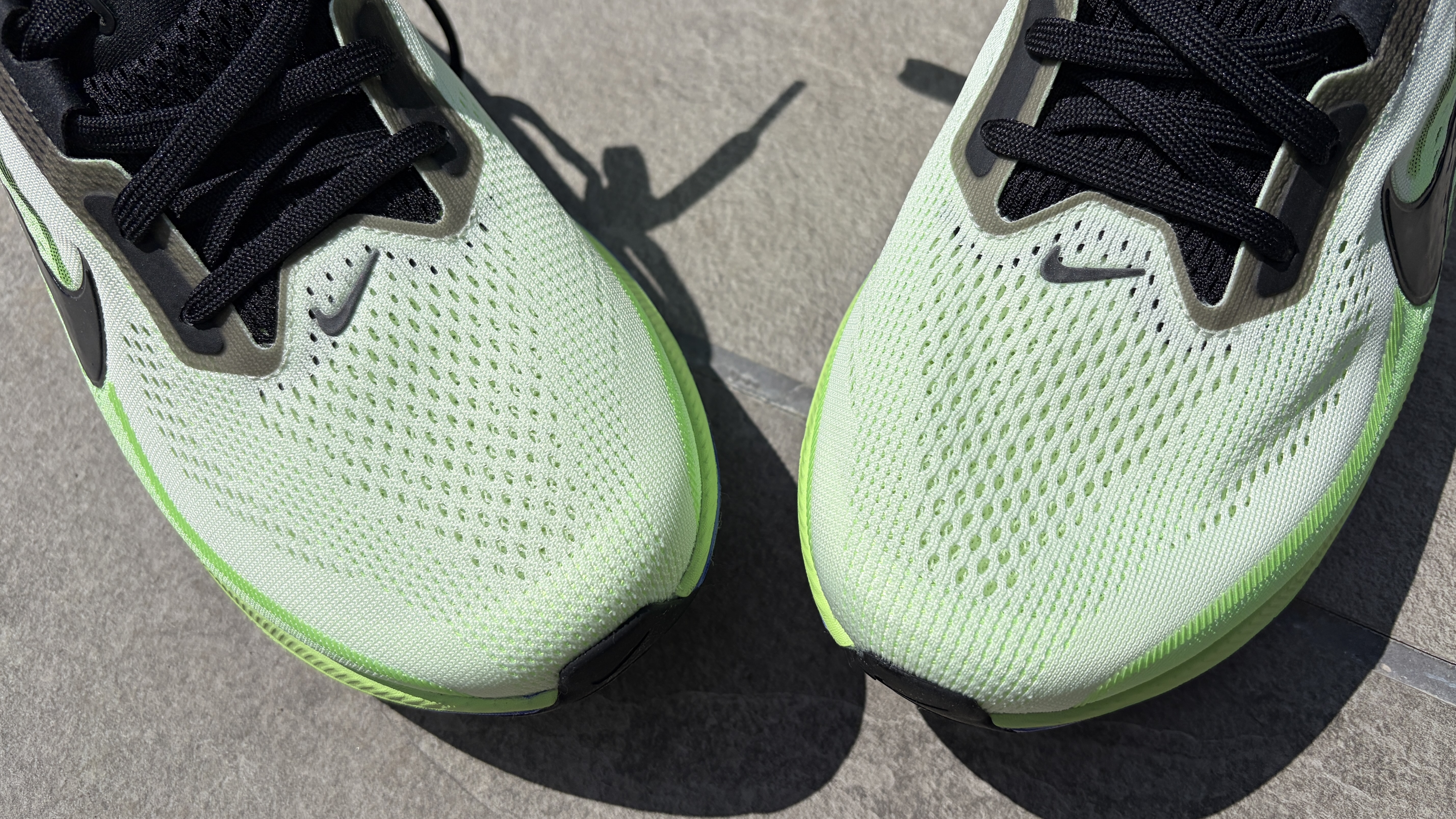 Nike Pegasus 42