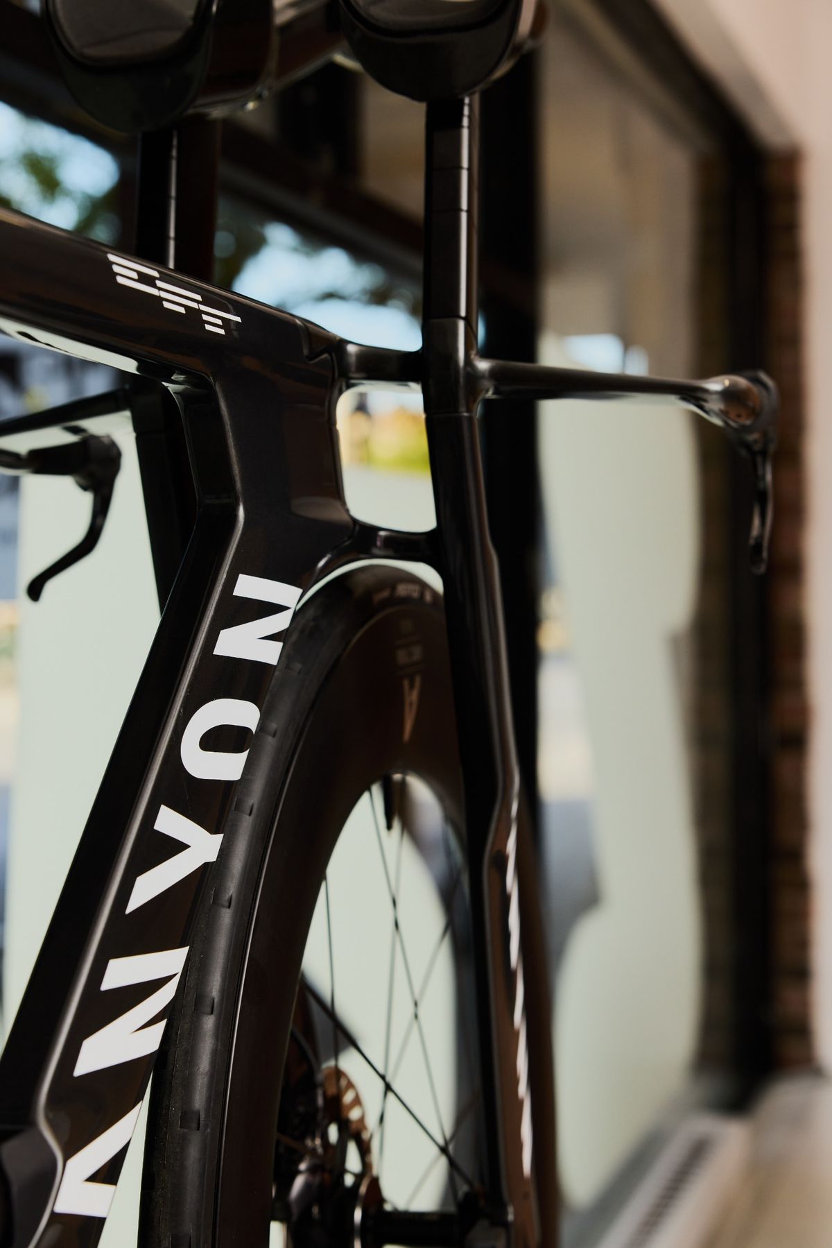 The rear fork legs of a Speedmax CFR tt bike