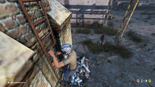 DayZ, where the ladders are still bad.