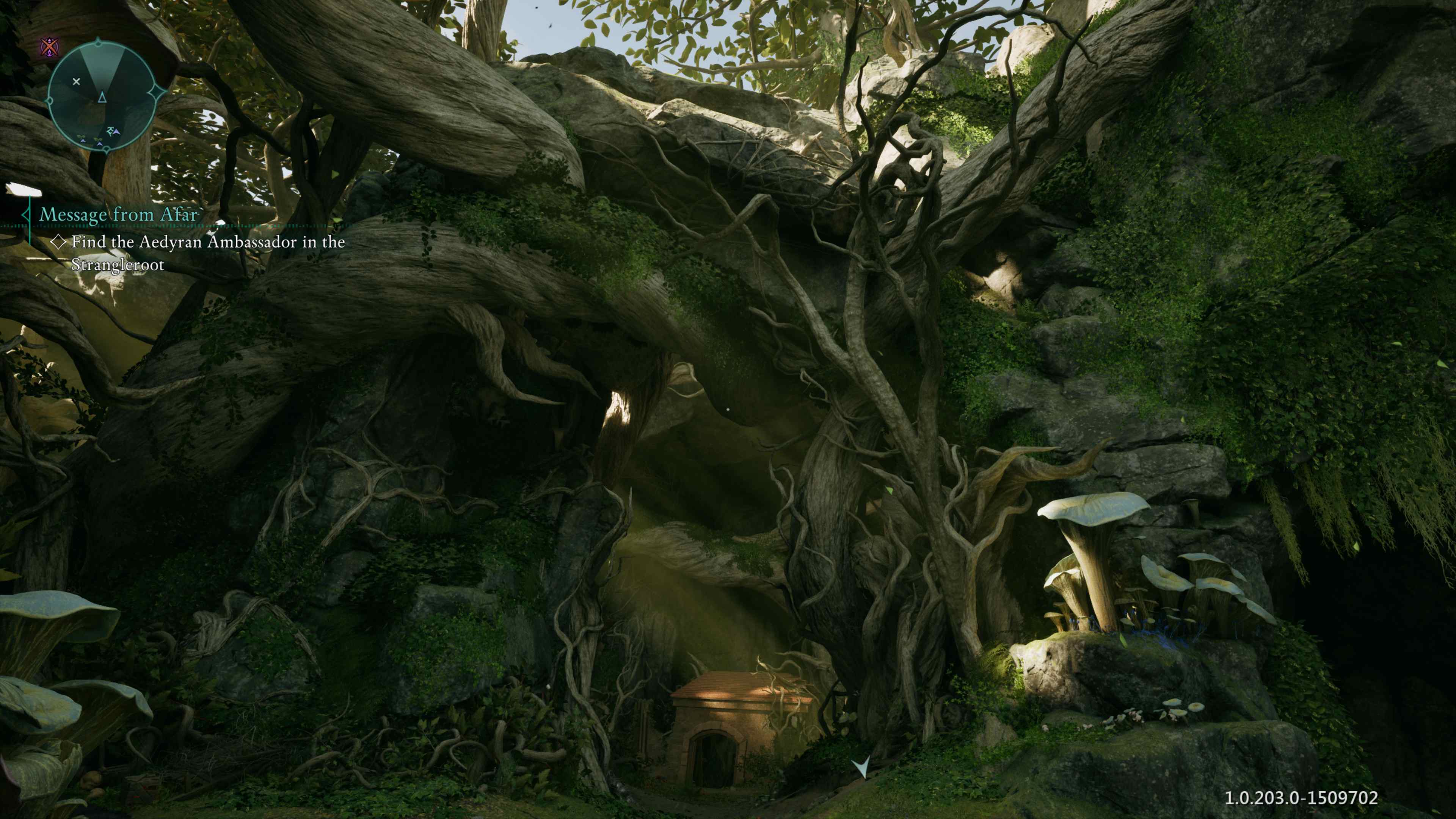 Screenshot of Avowed showing massive, overgrown roots surrounding an alcove.