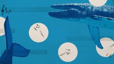 Photo collage of blue whales, krill, and musical notation