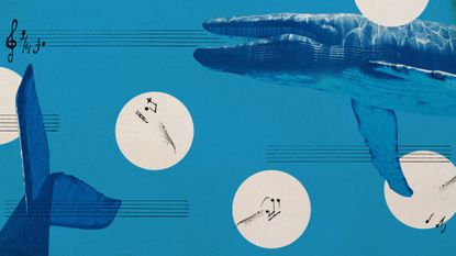 Photo collage of blue whales, krill, and musical notation